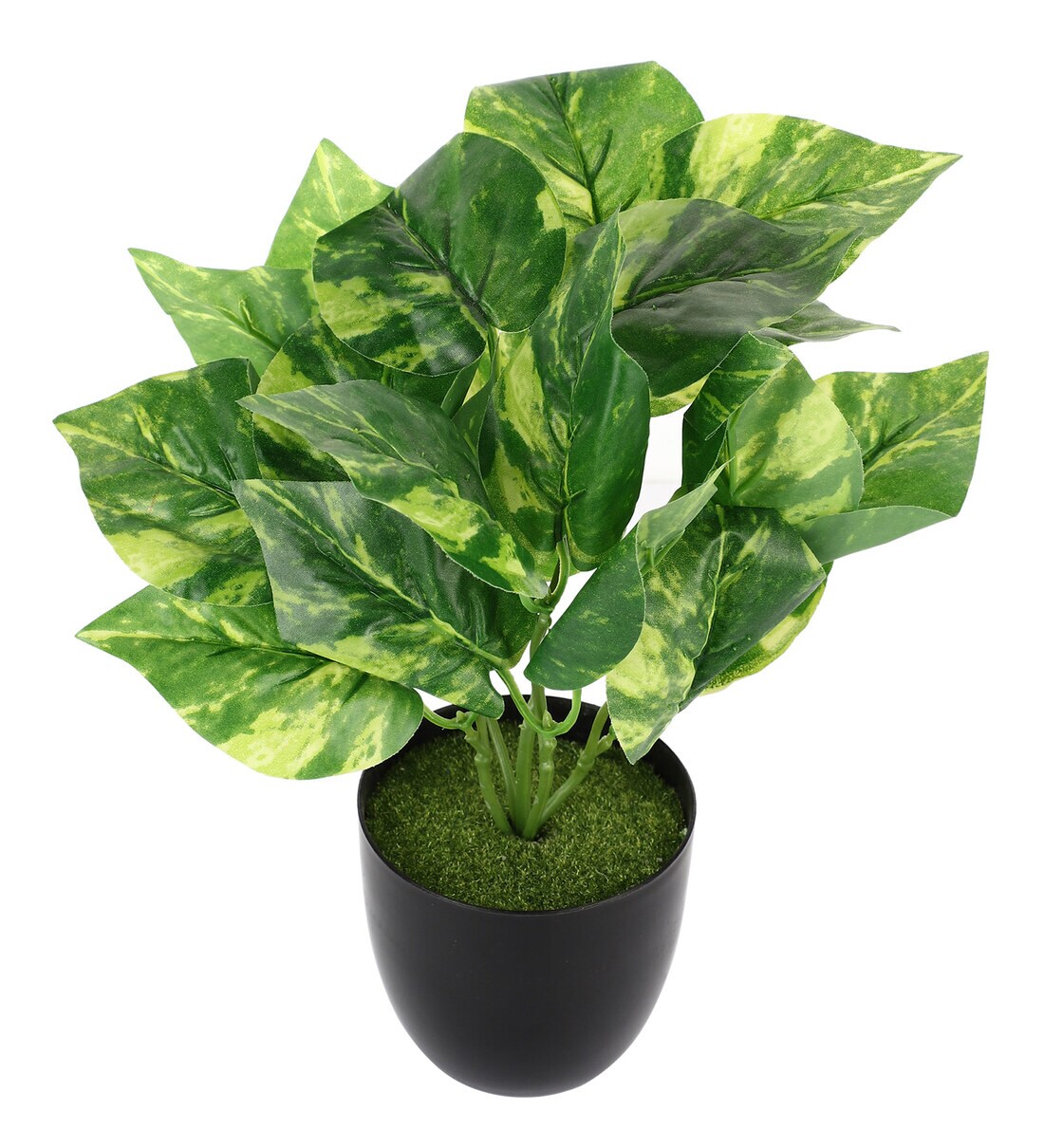 Buy Plastic Yellow and Green Money Artificial Plants Online