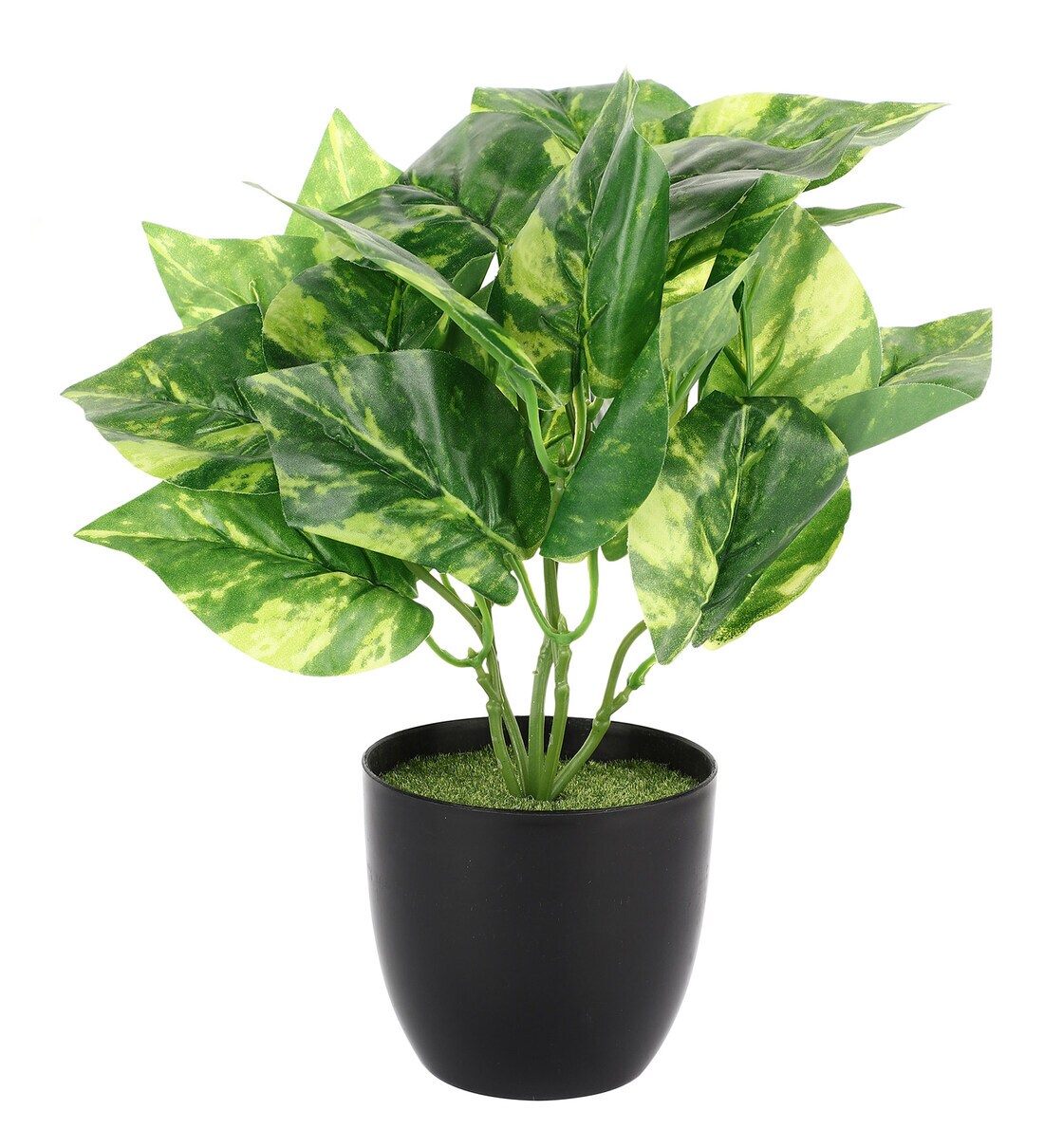 Buy Plastic Yellow and Green Money Artificial Plants Online Artificial Plants Artificial
