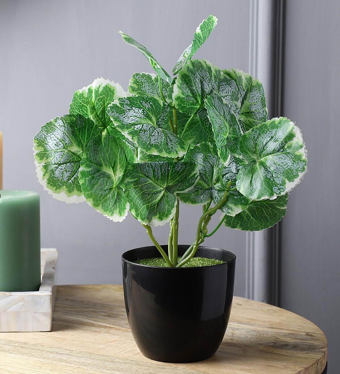 Buy Plastic White Ivy Artificial Plants at 17 OFF by Foliyaj Pepperfry
