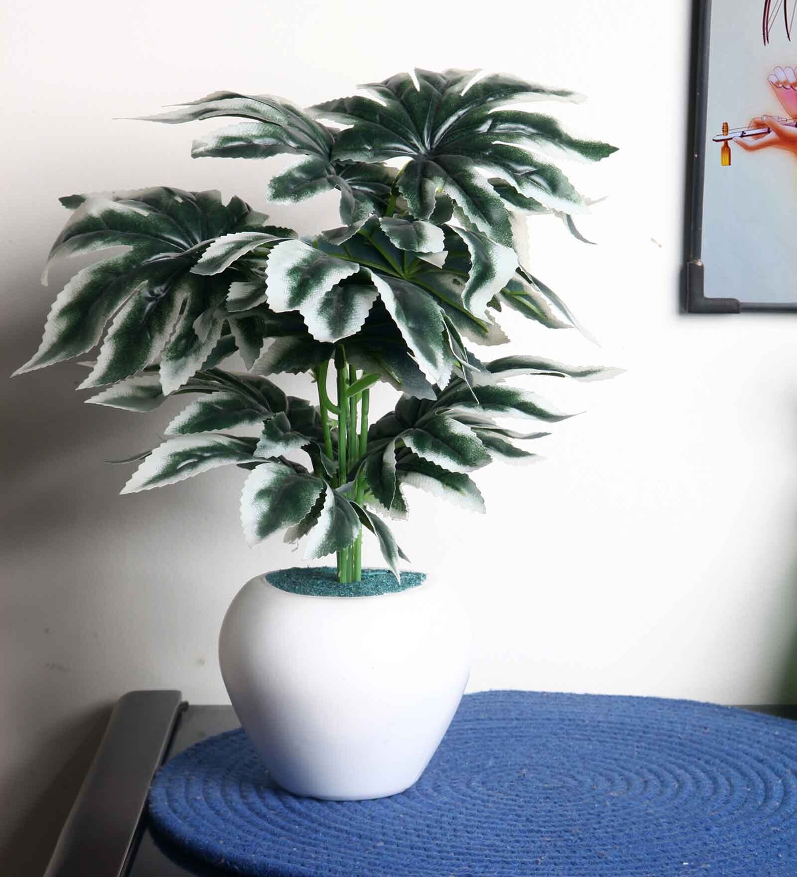 White Artificial Plant With Pot
