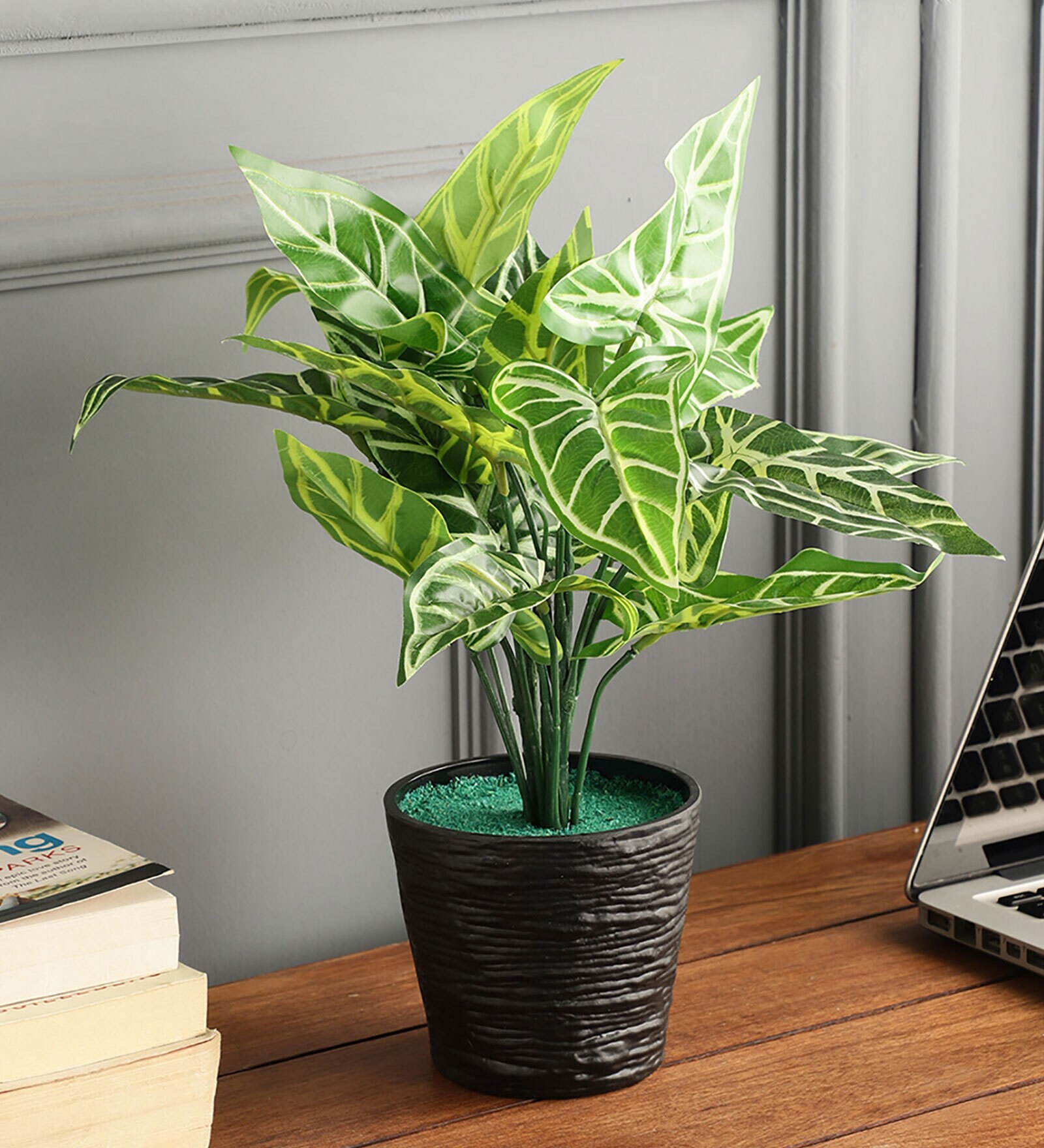 Buy Plastic Green Zebra Artificial Plants at 56% OFF by Foliyaj | Pepperfry