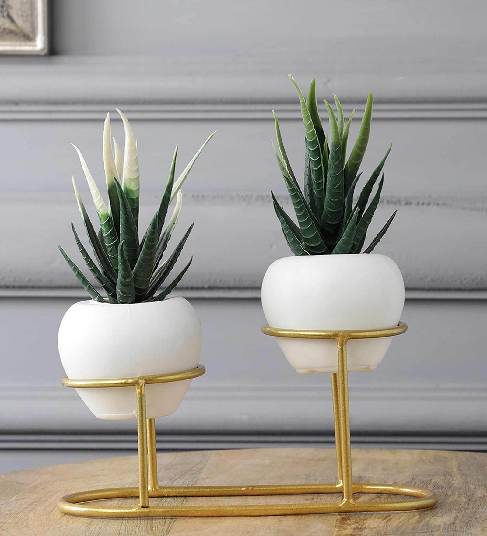 Buy Green Polyester and Plastic Artificial Cactus Plant with Pot by