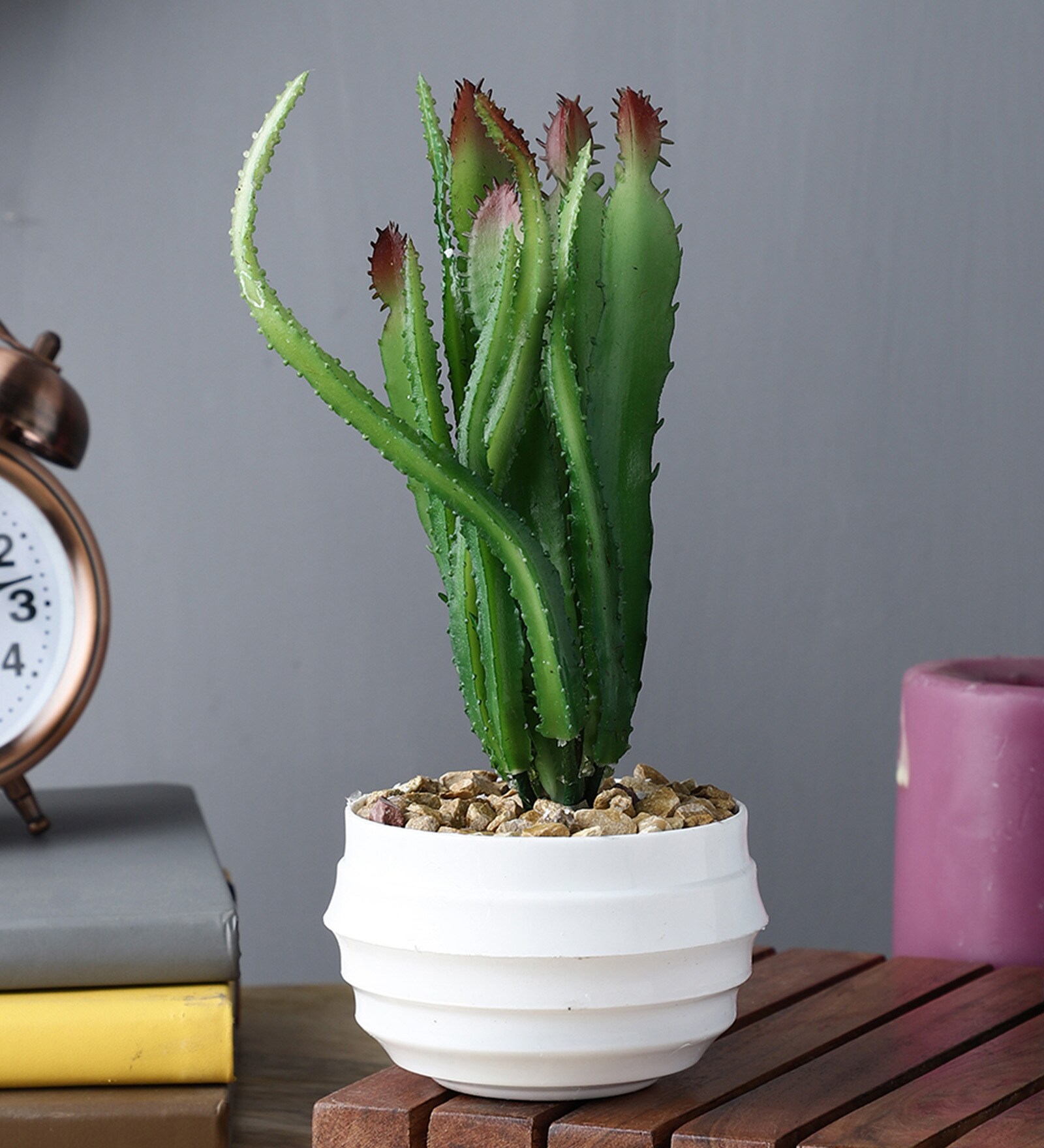 Buy Plastic Green Tall Cactus Artificial Plants at 11 OFF by Foliyaj