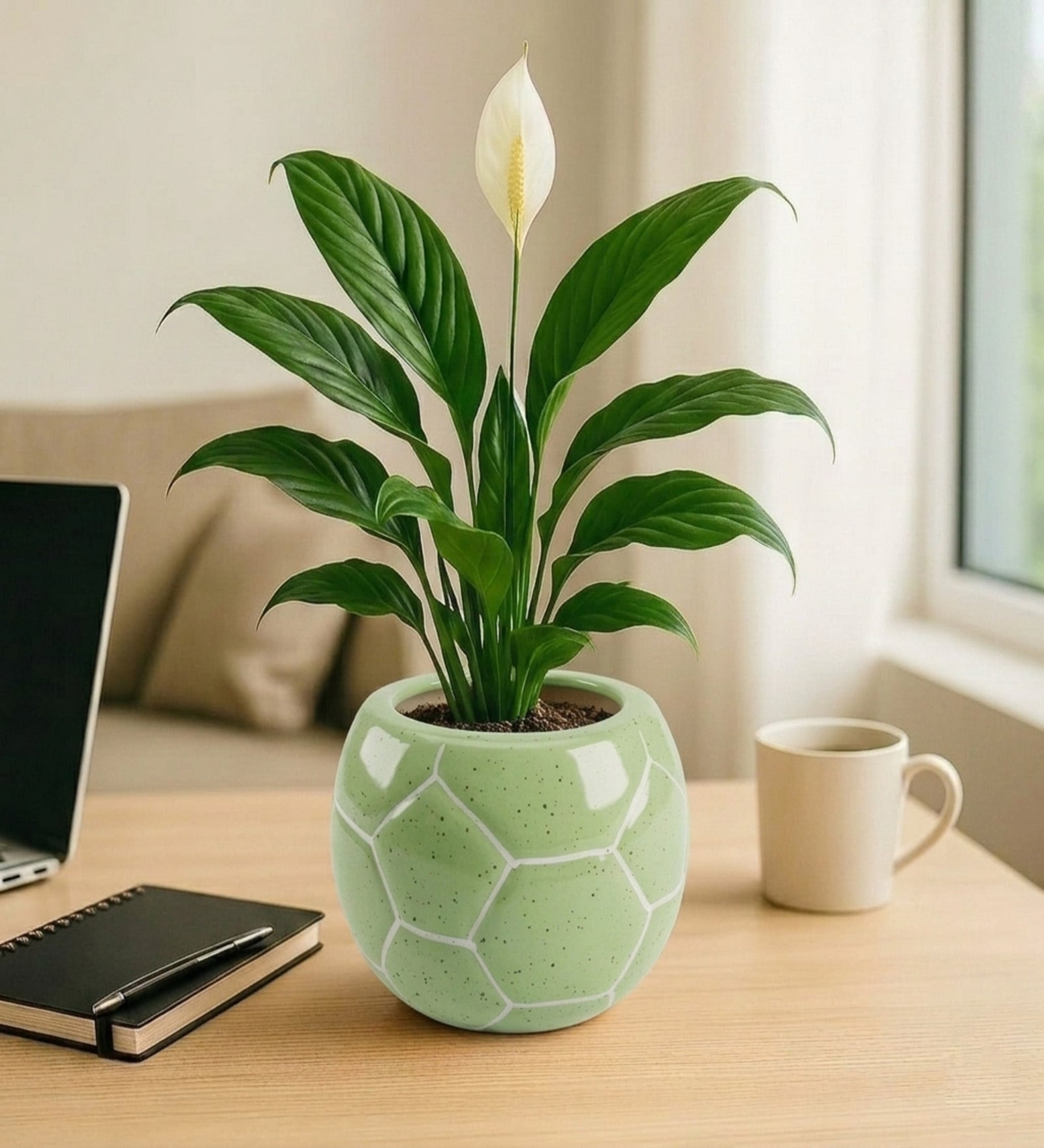 Green Football Design Ceramic Pot for Indoor & Outdoor Plants
