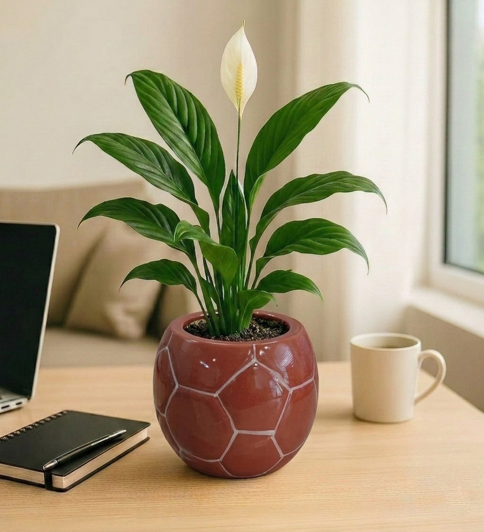 Football Design Ceramic Pot for Indoor & Outdoor Plants