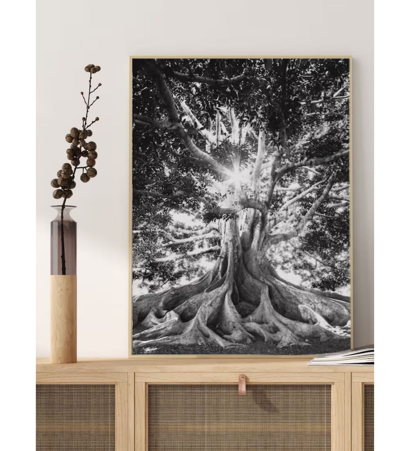 Forest Photo , black and white Farmhouse