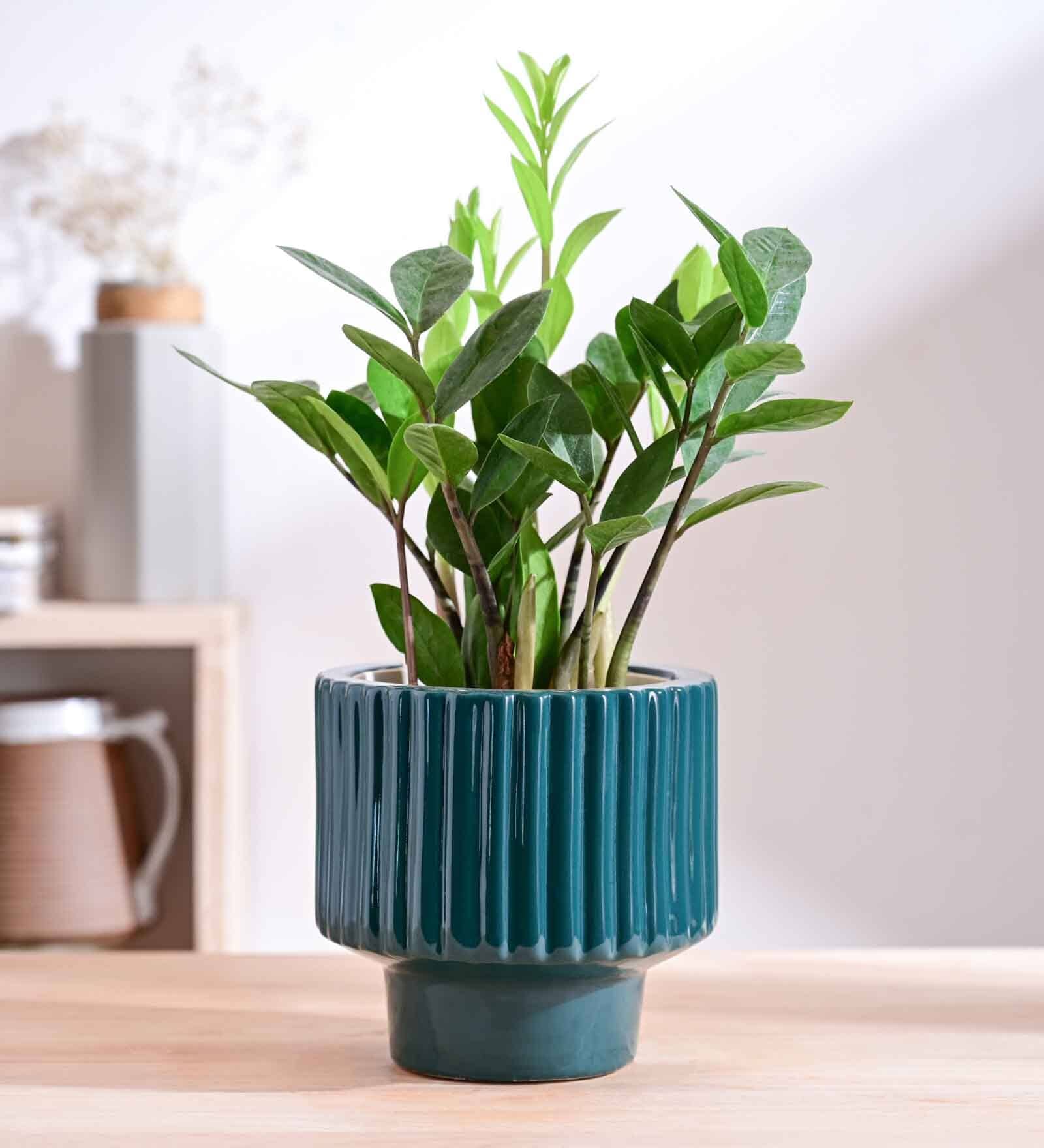 Forms of love Teal Ceramic Planter