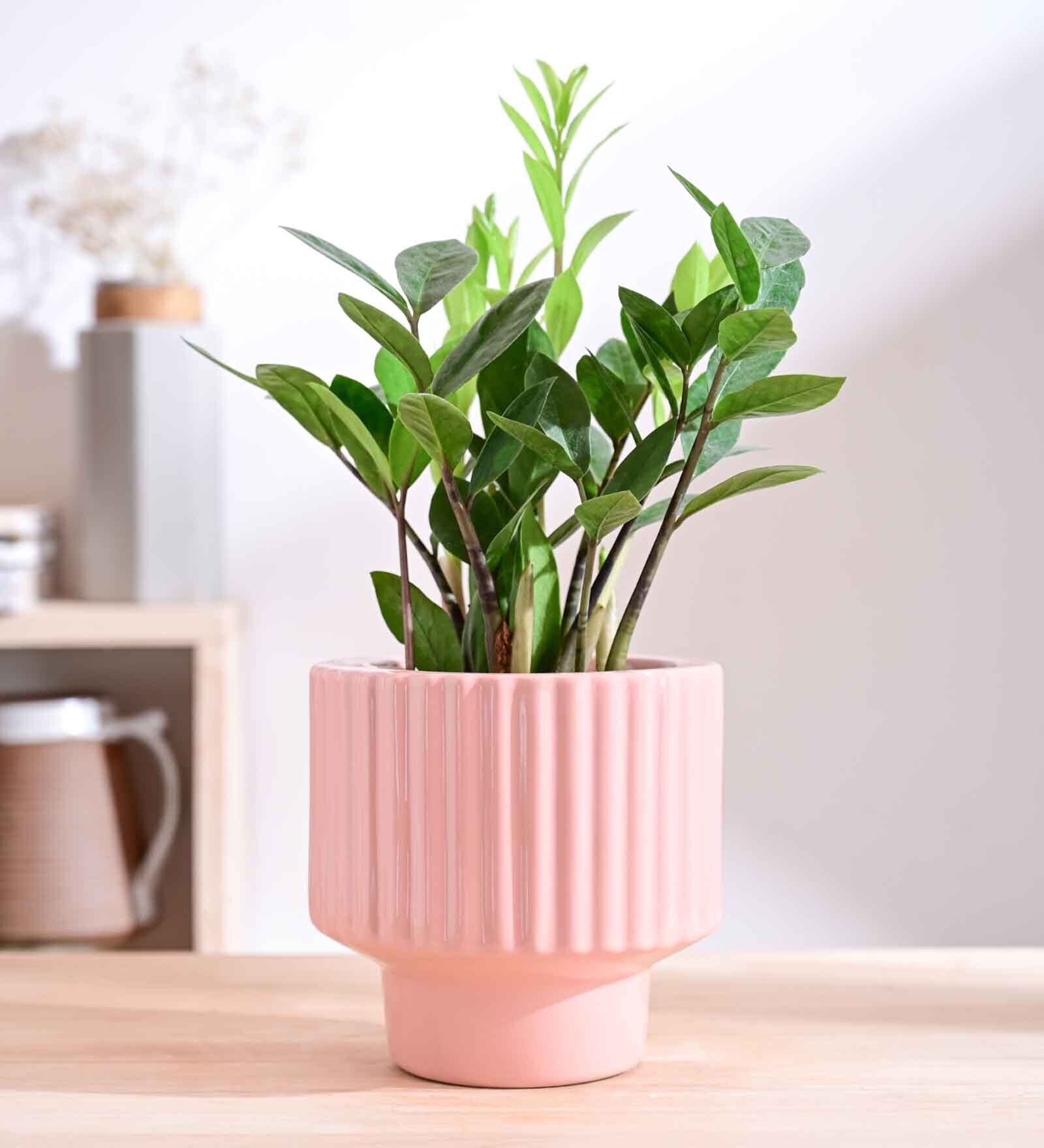 Forms of love Pink Ceramic Planter