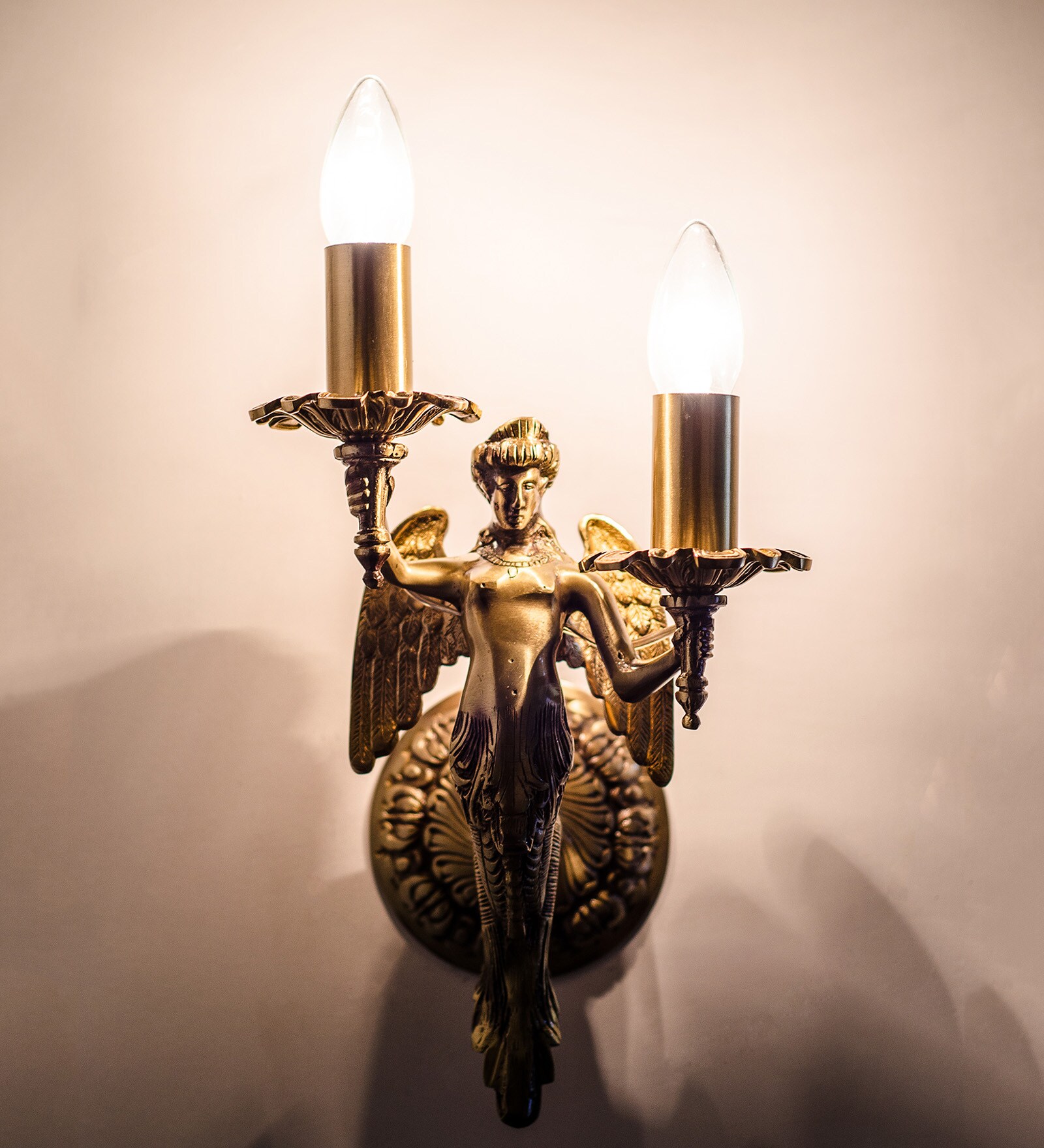 Transparent Metal Novelty Wall Light (Gold)