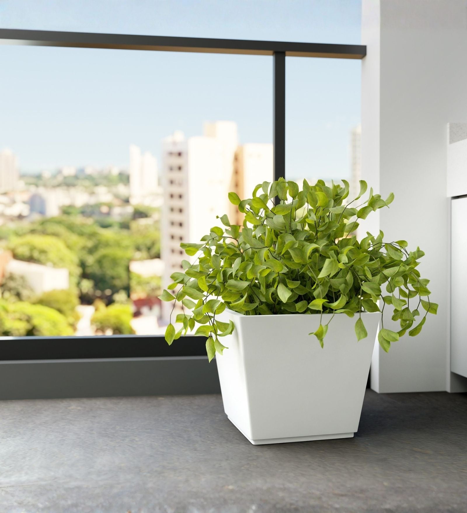 White German Polymer Square Planter Gk 12 Inch