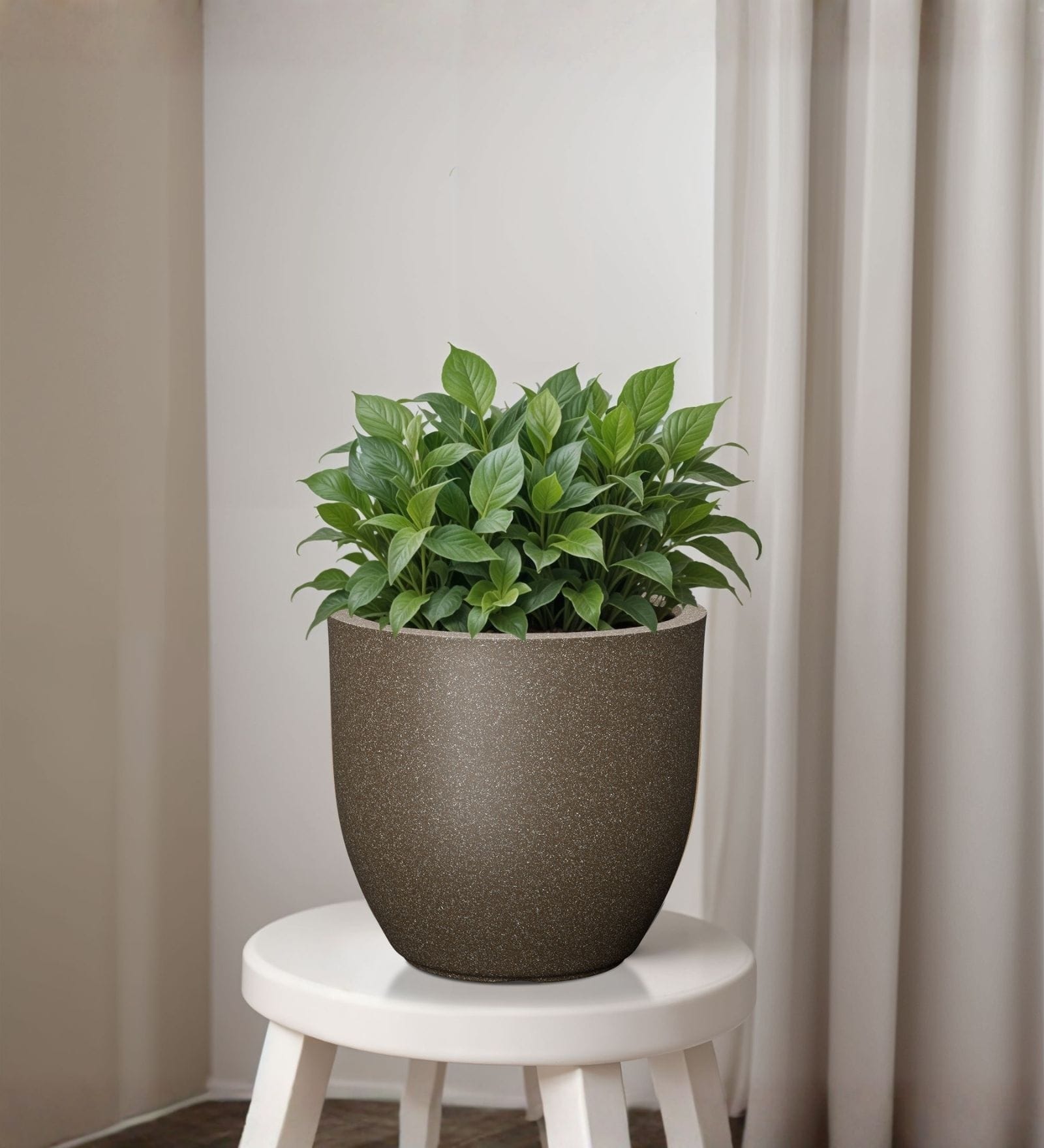 Choco Brown German Polymer Round Planter Pcup 10 Inch