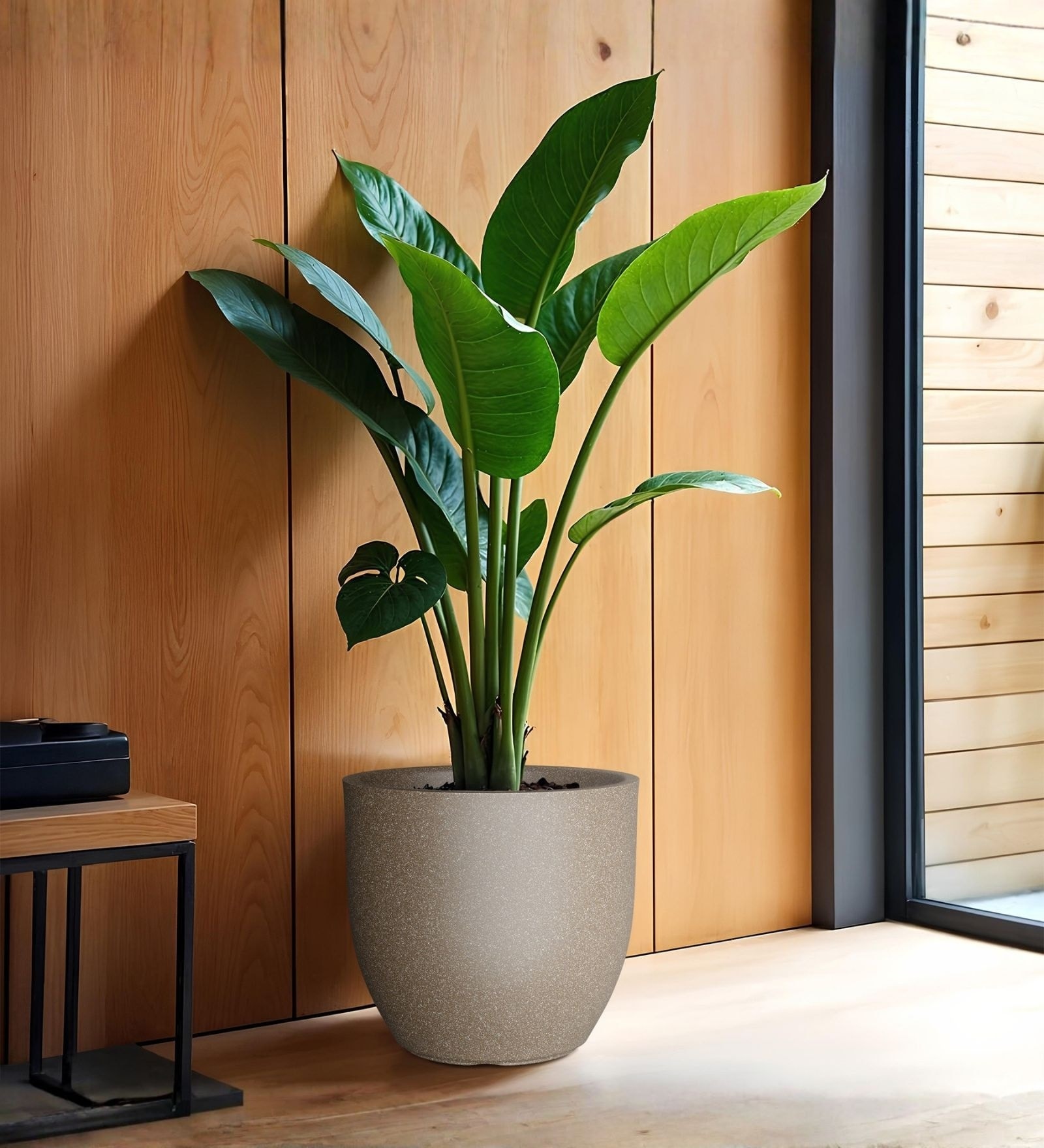 Choco Brown German Polymer Round Planter Pcup 15 Inch