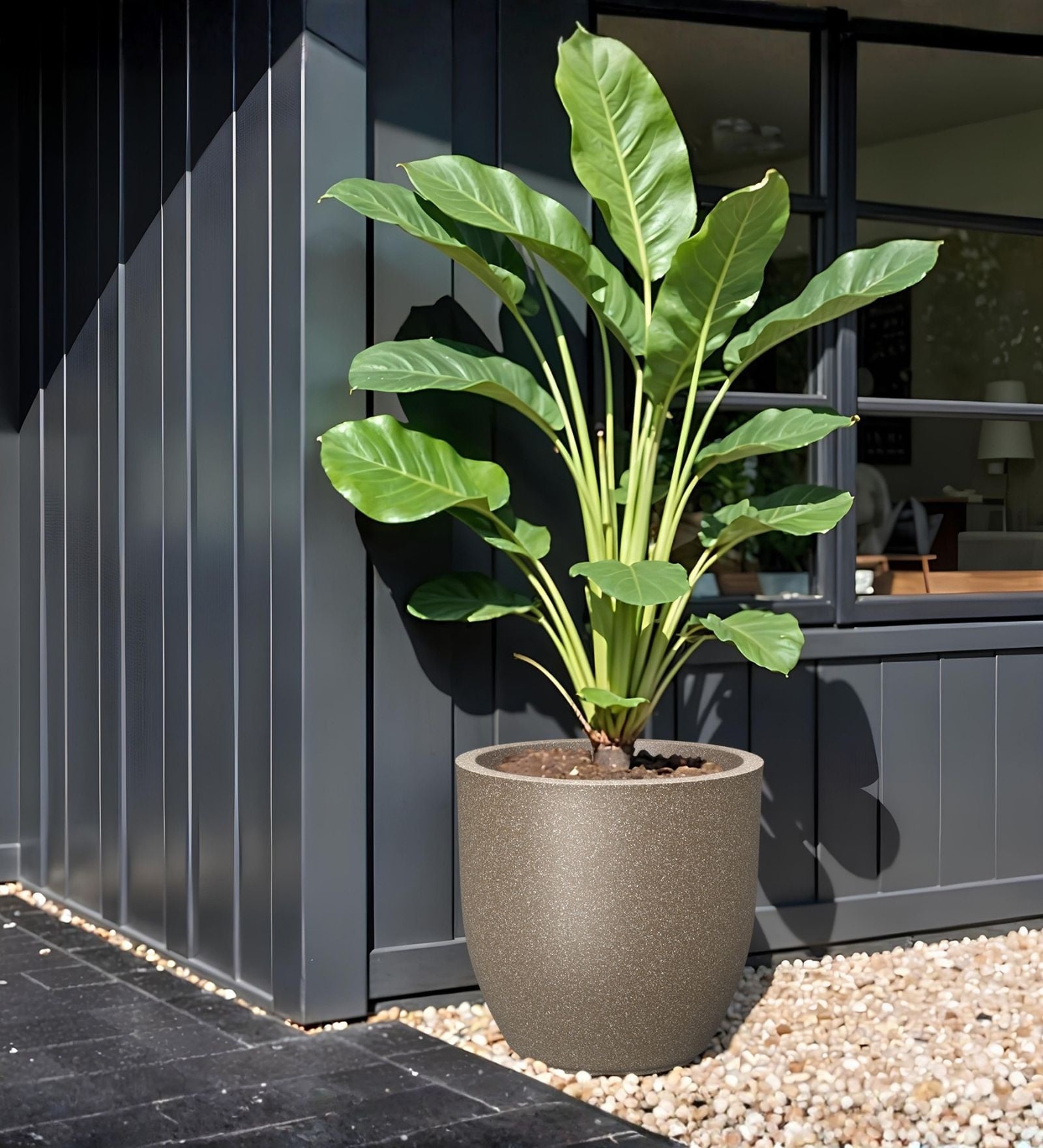 Choco Brown German Polymer Round Planter Pcup 24 Inch