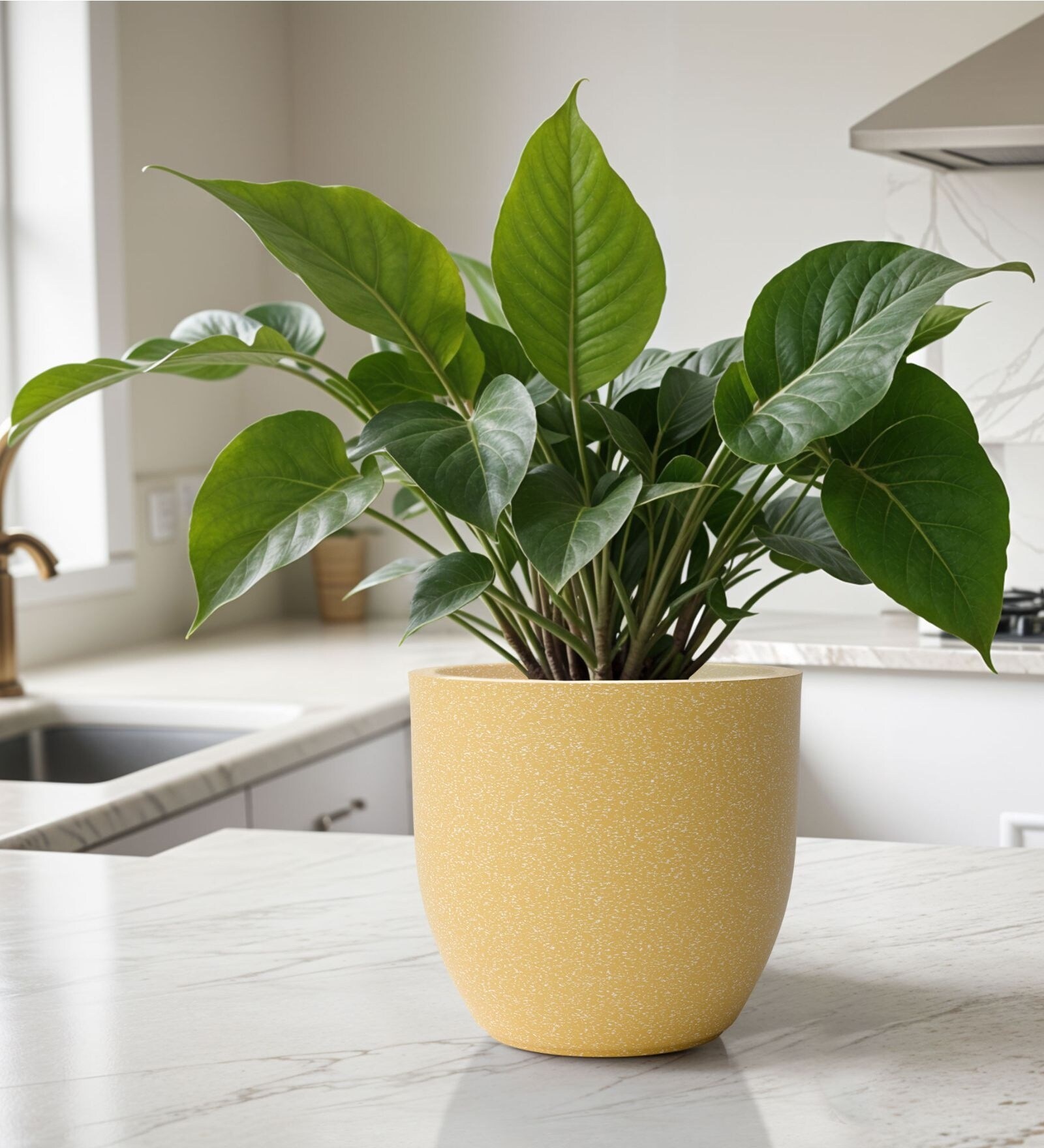 Beige German Polymer Round Planter Pcup 6 Inch