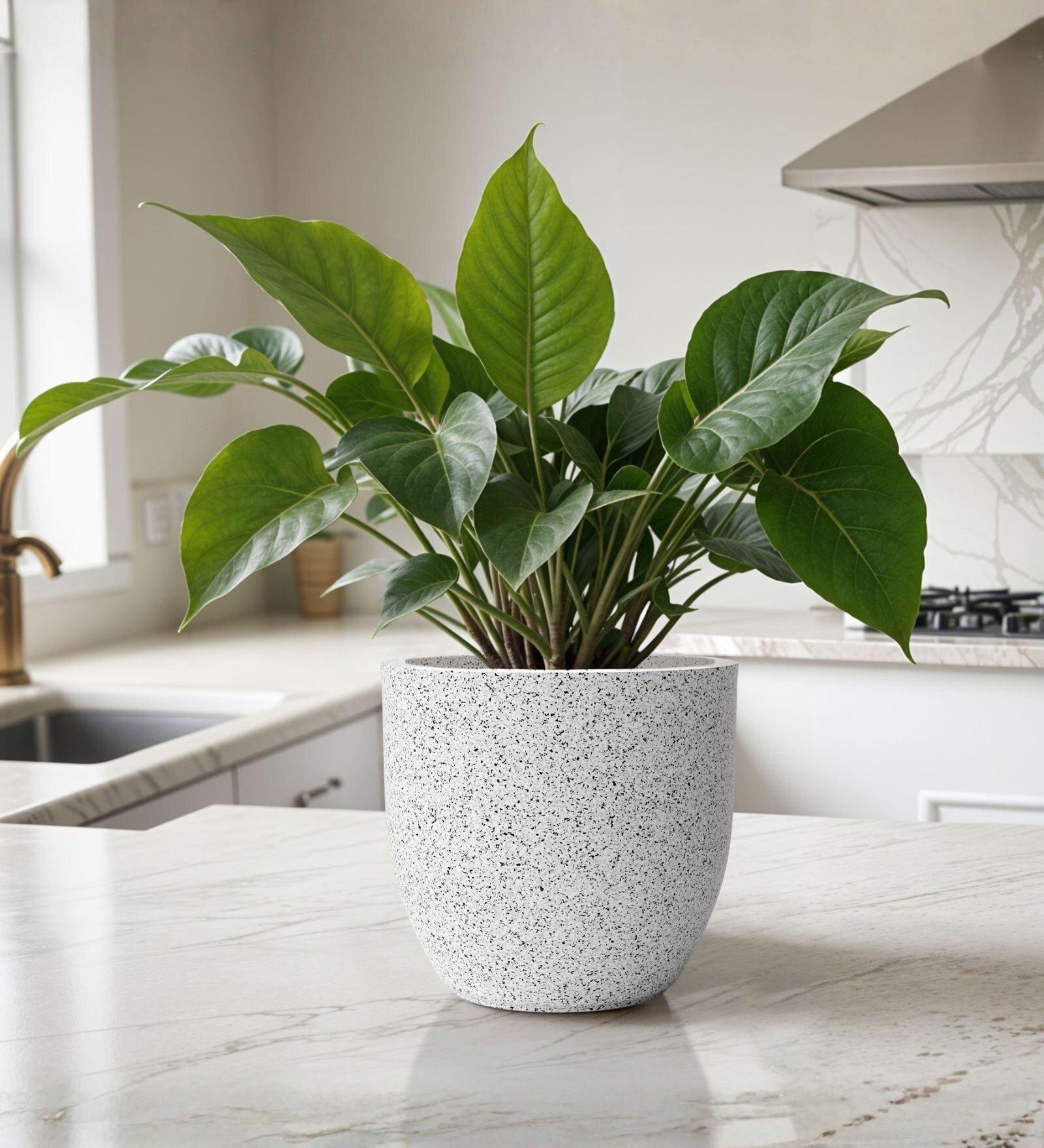 Marble White German Polymer Round Planter Pcup 6 Inch