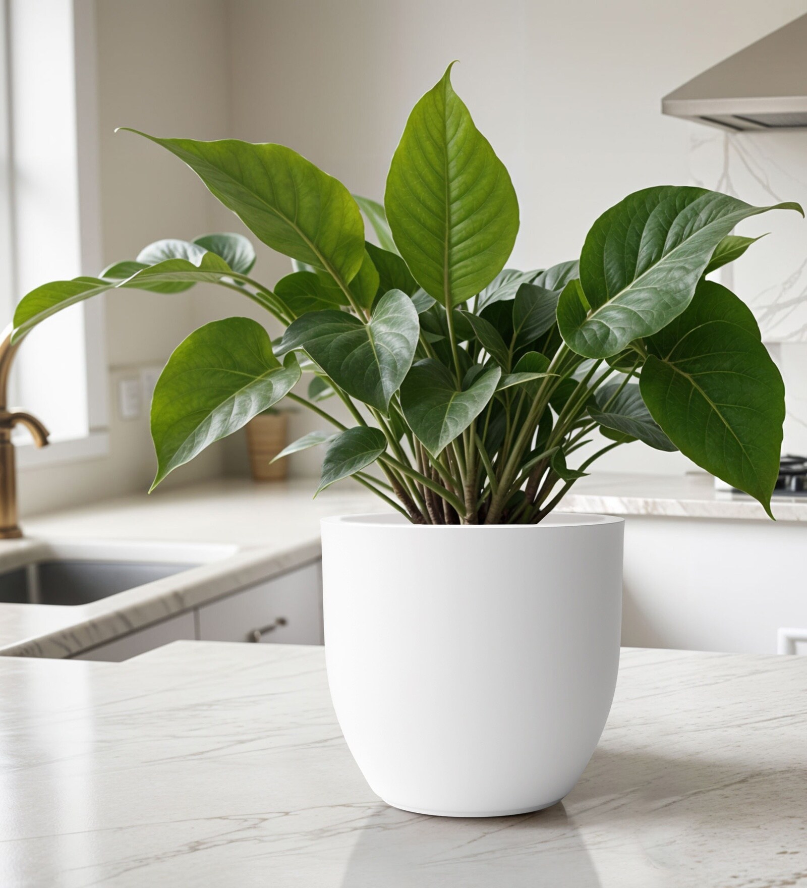 White German Polymer Round Planter Pcup 6 Inch