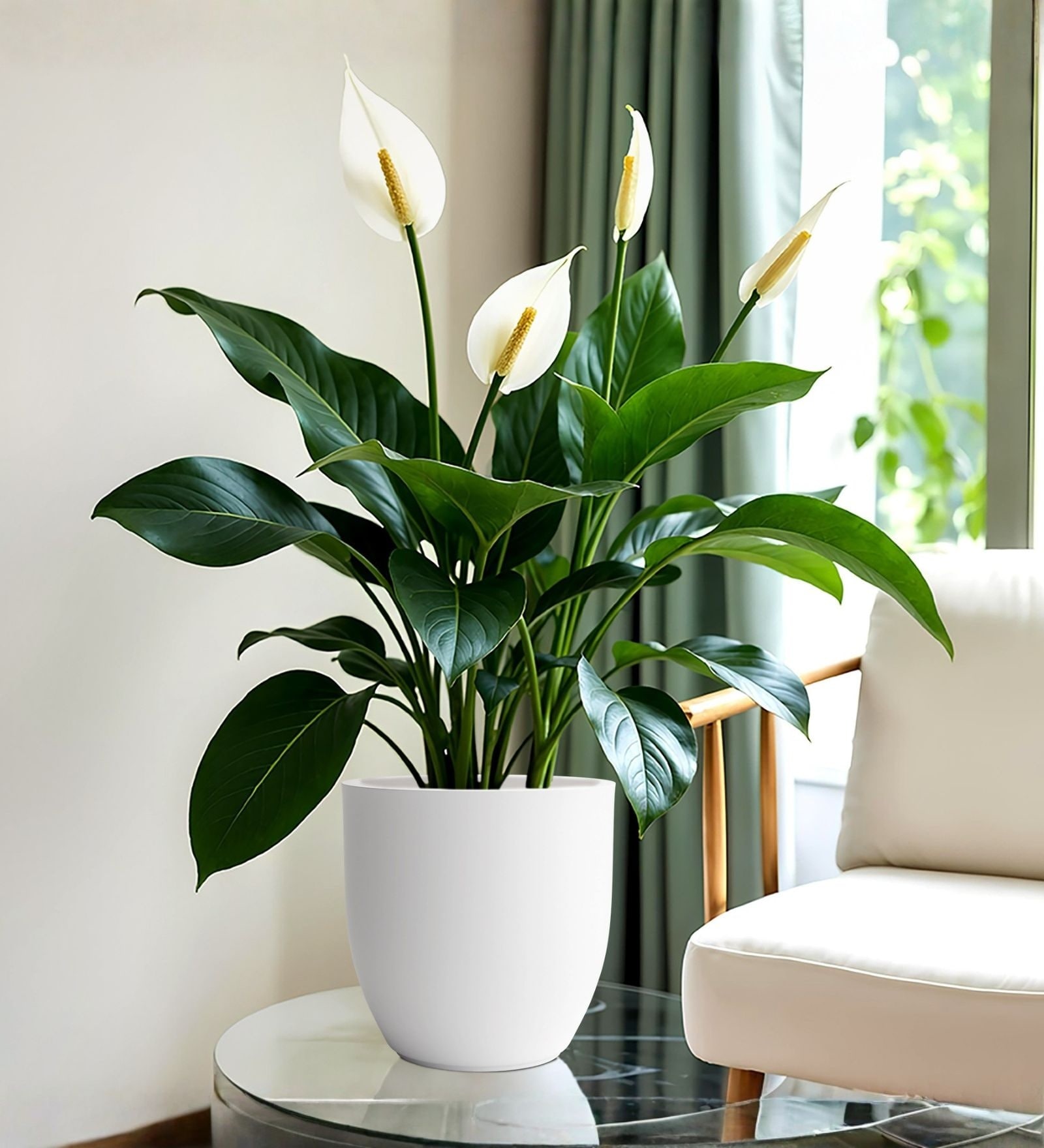 White German Polymer Round Planter Pcup 8 Inch