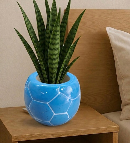 Blue Football Design Ceramic Pot for Indoor & Outdoor Plants