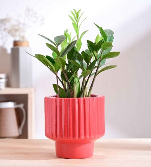 Forms of love Red Ceramic Planter