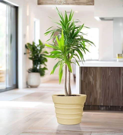 Beige 14 Inch German Polymer Round Plant Container
