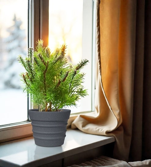 Grey 12 Inch German Polymer Round Plant Container