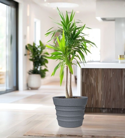 Grey 14 Inch German Polymer Round Plant Container
