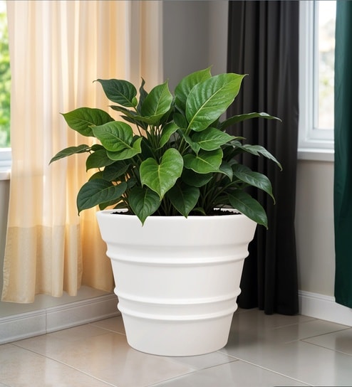White 18 Inch German Polymer Round Plant Container