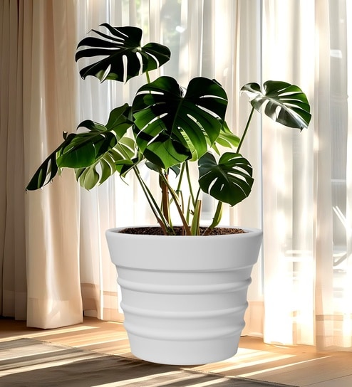 White 21 Inch German Polymer Round Plant Container