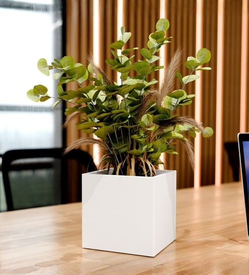 White German Polymer Square Planter Cubo 10 Inch