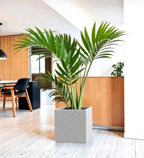 Marble White German Polymer Square Planter Cubo 15 Inch-image-36