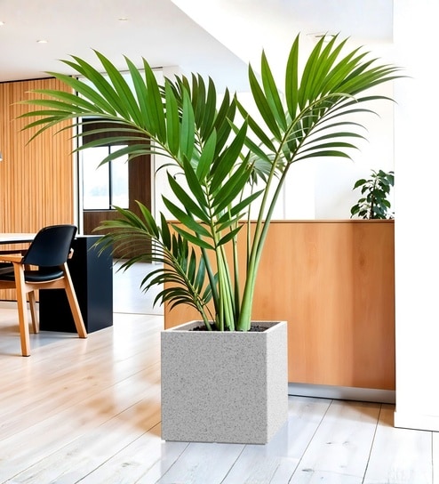 Marble White German Polymer Square Planter Cubo 17 Inch-image-33