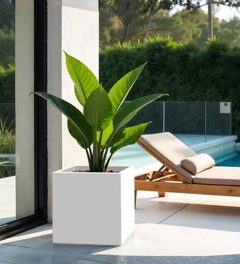yuccabe italia White German Polymer Square Planter Cubo 24 Inch-picture-18