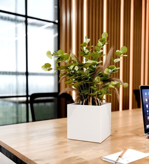 White German Polymer Square Planter Cubo 6 Inch