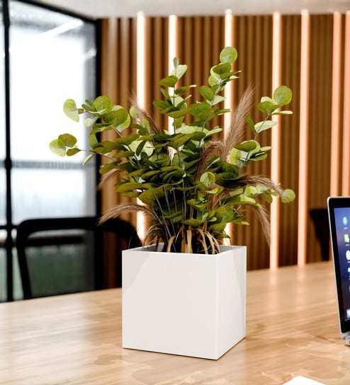 White German Polymer Square Planter Cubo 8 Inch
