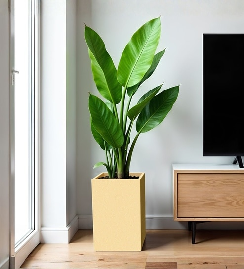 Beige German Polymer Square Planter Cubo Tall 18 Inch-image-31