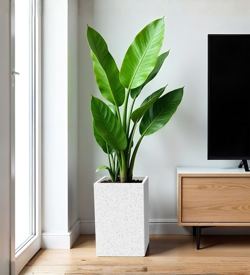 yuccabe italia Marble White German Polymer Square Planter Cubo Tall 18 Inch-picture-8