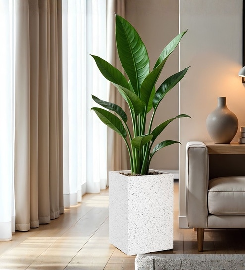 yuccabe italia Marble White German Polymer Square Planter Cubo Tall 24 Inch-picture-21