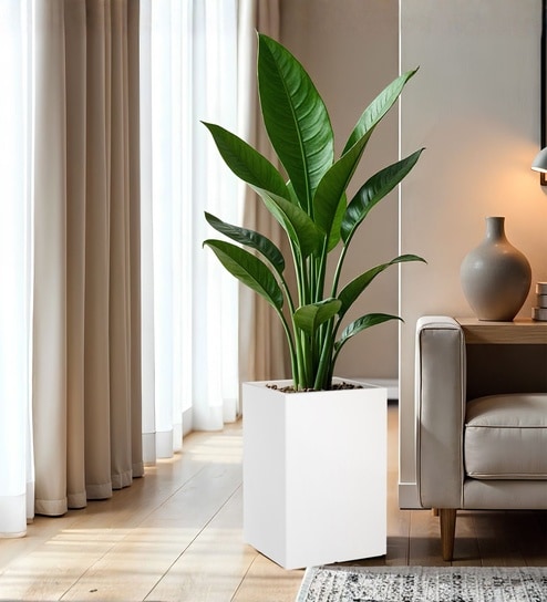 yuccabe italia White German Polymer Square Planter Cubo Tall 24 Inch-picture-3