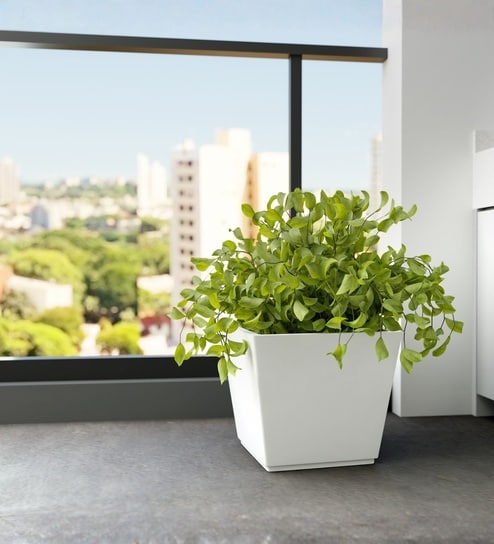 White German Polymer Square Planter Gk 12 Inch-image-0