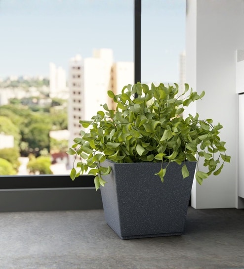 yuccabe italia Grey German Polymer Square Planter Gk 14 Inch-picture-30