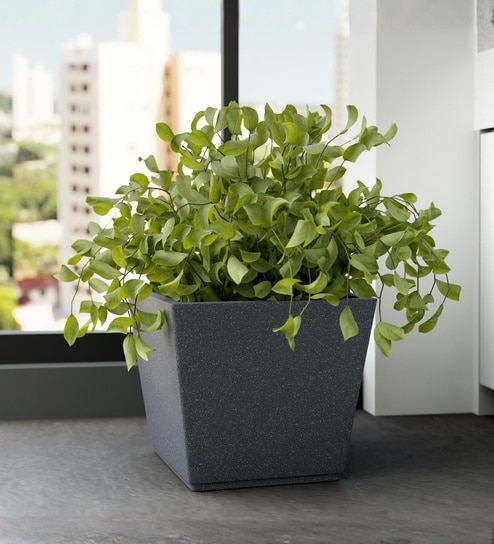 yuccabe italia Grey German Polymer Square Planter Gk 16 Inch-picture-32