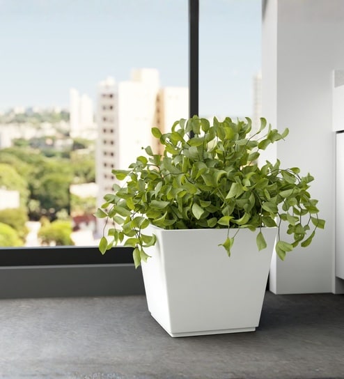 White German Polymer Square Planter Gk 16 Inch-image-46
