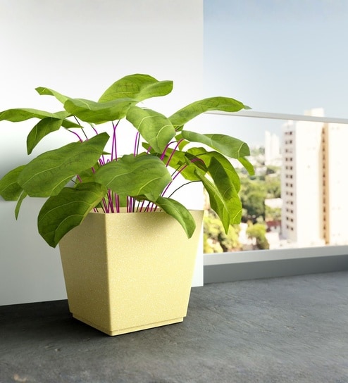 yuccabe italia Beige German Polymer Square Planter Gk 18 Inch-picture-34