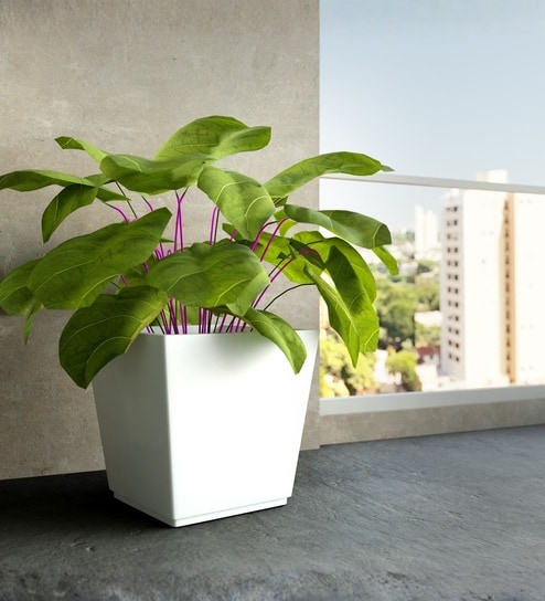 White German Polymer Square Planter Gk 18 Inch-image-47