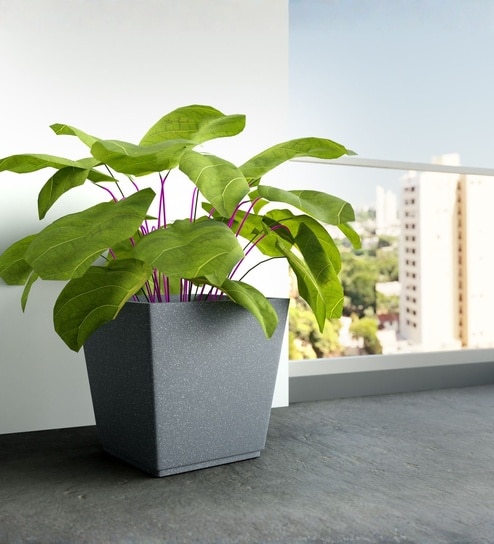 yuccabe italia Grey German Polymer Square Planter Gk 20 Inch-picture-31