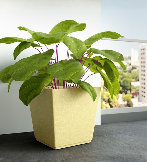 yuccabe italia Beige German Polymer Square Planter Gk 24 Inch-picture-35