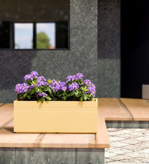 Beige German Polymer Rectangular Planter Gt 10 Inch-image-46