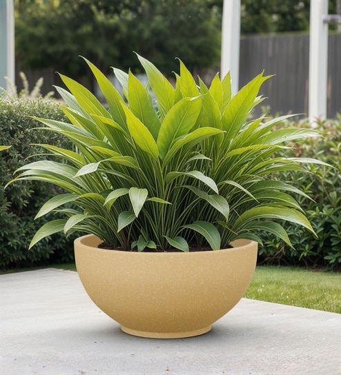 yuccabe italia Beige German Polymer Round Planter Ktr 18 Inch-picture-19