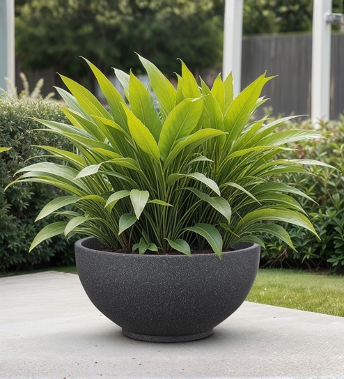 yuccabe italia Grey German Polymer Round Planter Ktr 18 Inch-picture-38