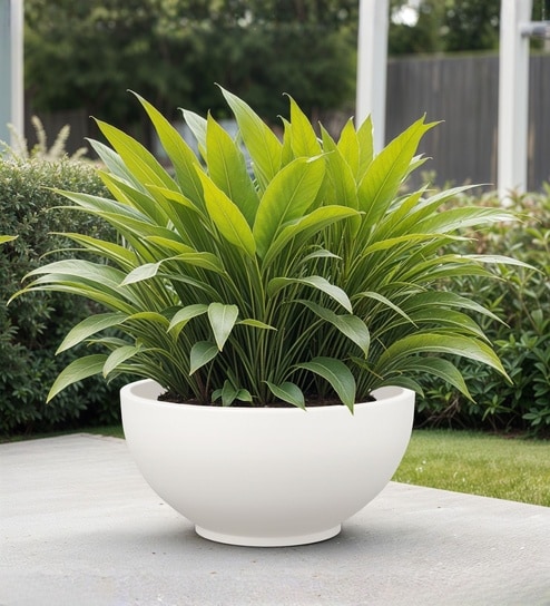 White German Polymer Round Planter Ktr 18 Inch